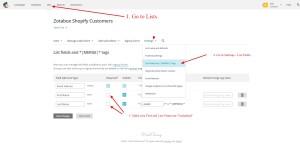 Mailchimp Required Fields